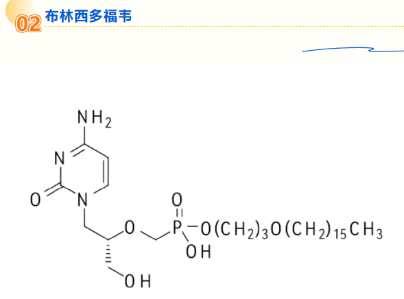 布林.png